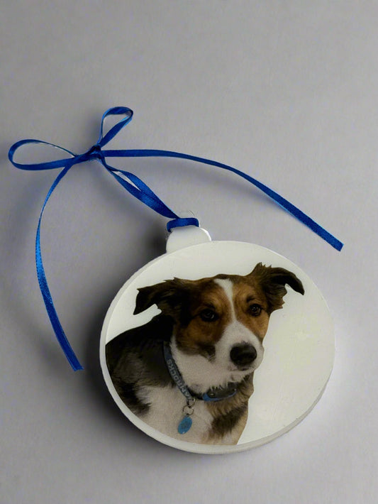 FRANK Ornament