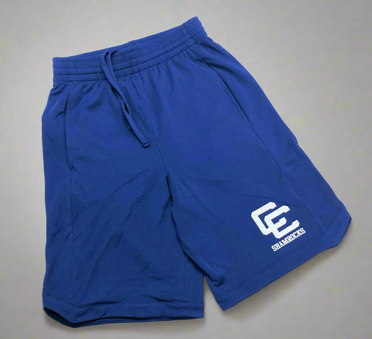 PosiCharge Shorts- True Royal